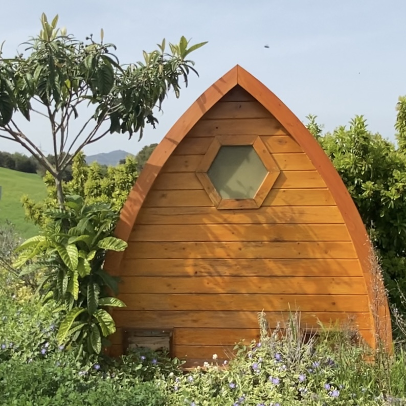 Sauna de abejas - Sabadell - Imagen 6