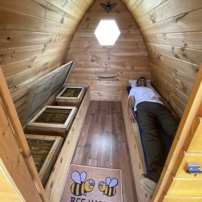 Sauna de abejas  - Sabadell